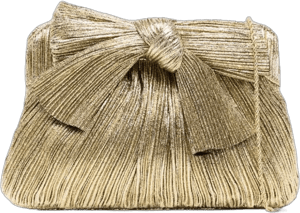 Loeffler Randall Rayne Pleated Bow Clutch