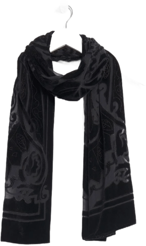 Chico's Velvet Burnout Scarf