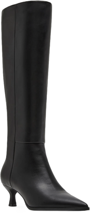 Madden Girl Women's Debut Knee-High Kitten-Heel Dress Boots