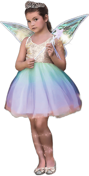 Fairy Dress Costume Set with Wings and Wand