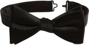 Nordstrom Men's Silk Pre-Tied Bow Tie Set