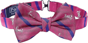 Polo Ralph Lauren Boy's Silk Bowtie