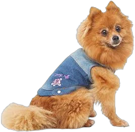 Doggy Parton Blue Denim Jacket with Collar