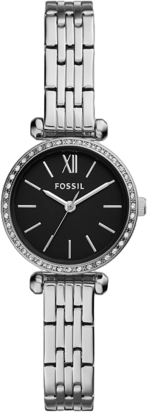 Fossil Women's Tillie Mini Three-Hand Stainless Steel Watch