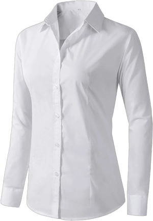 Women's Formal Work Wear Shirt