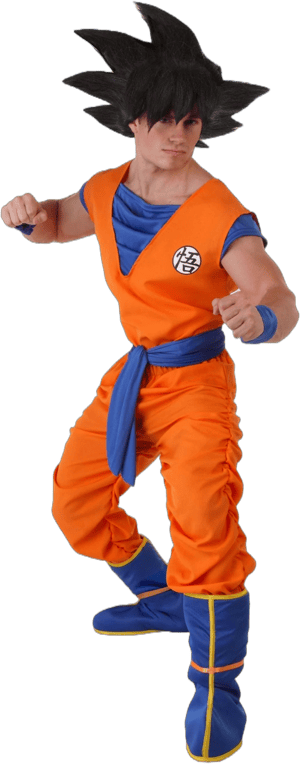 Dragon Ball Z Goku Costume