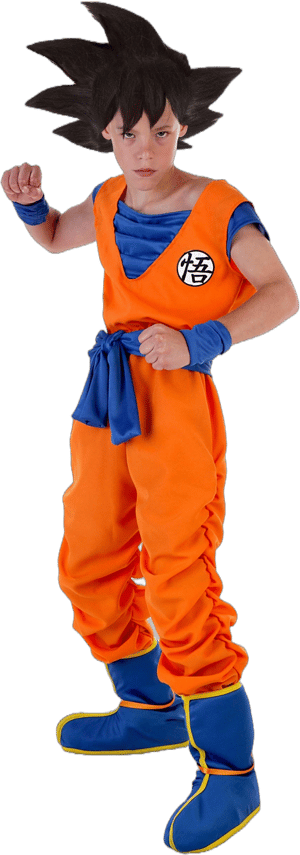 Dragon Ball Z Goku Costume