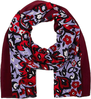 Ann Taylor Women's Paisley Floral Scarf