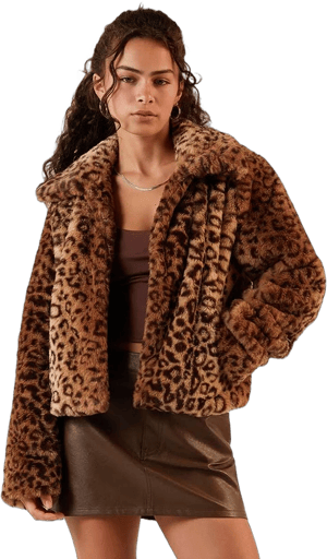 Faux Fur Leopard Jacket