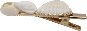 seashell hair clip