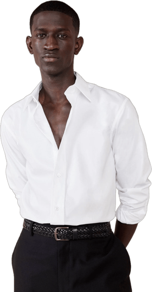 Banana Republic Standard Wrinkle-Resistant Dress Shirt