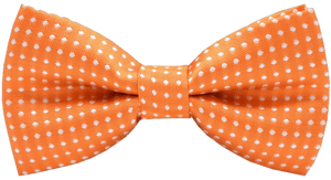 Carahere Little Boy's Polka Dot Bow Ties