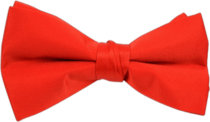 Men's Pre-tied Clip On Bow Tie