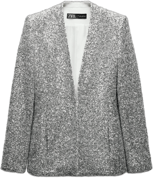 Zara Women's Sequined Blazer