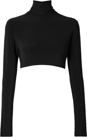 Norma Kamali Cropped Slim Fit Long Sleeve Turtleneck Top