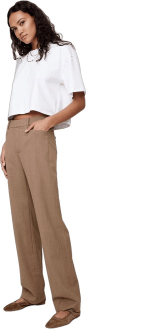 Banana Republic Women's Siena Italian Wool Pants