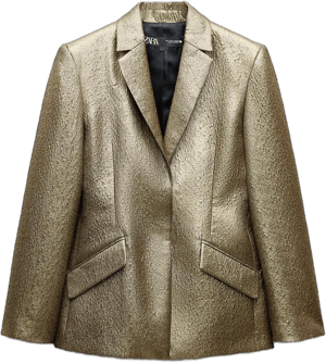 Zara Women's Metallic Blazer