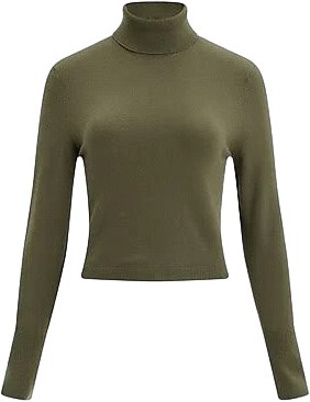 Express Women's Cropped Turtleneck Sweater