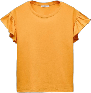 Zara Women's Ruffled Cotton Top