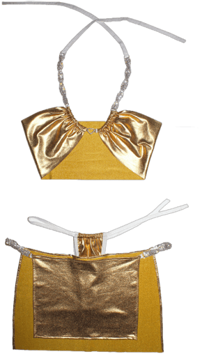 The Gold Member Multico Bikini Set