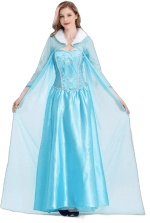 Elsa The Ice Queen Costume