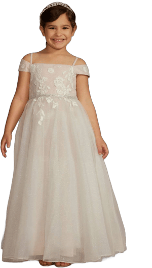 DB Studio Sparkle Organza Flower Girl Dress with Applique