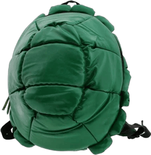 TMNT Shell Backpack W Masks (green)