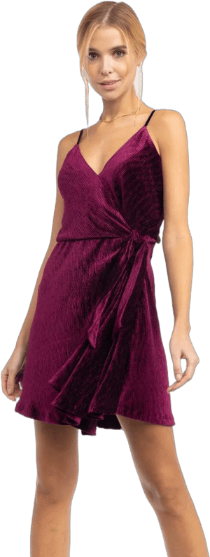 Naked Zebra Plisse Velvet Wrap Dress