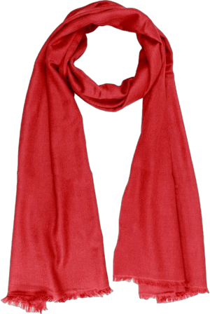 SAACHI Women's Cashmere Silk Eyelash Fringe Scarf