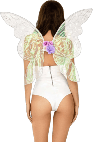 Glitter Fairy Wings