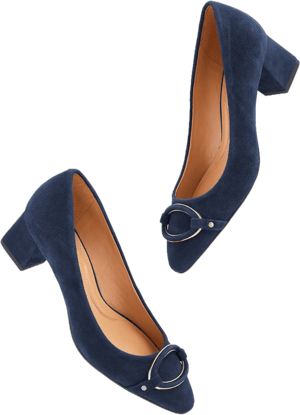 Talbots Women's Kayla Buckle Block Heel Suede Pumps