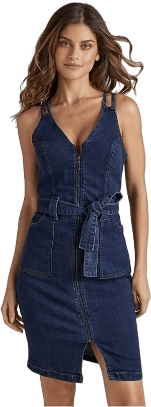 Venus Denim Dress with Zipper