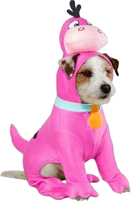 Flintstones Dino Dog Halloween Costumes