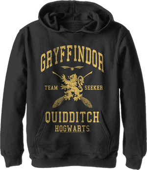 Harry Potter Boys' Gryffindor Quidditch Seeker Hoodie