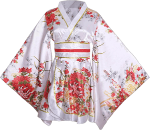 Women's Floral Print Japanese Traditional Kimono Dress with Belt