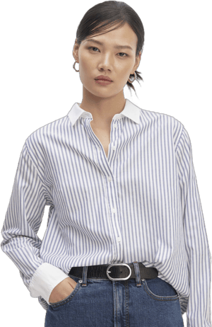 Everlane Women's Silky Cotton Stripe Shirt