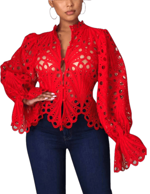 Women's Lace Ruffle Long Sleeve Puff Flare Tunic