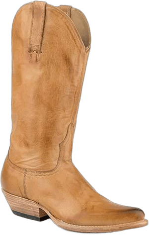 Stetson Women's Emory Snip-toe Leather Boots