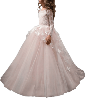 Princess Long Sleeve Butterflies Dress