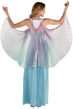 Women's Iridescent Fabric Wings