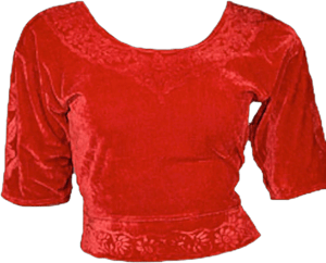 Velvet Choli Top