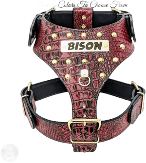 Personalized Studded Leather Dog Harness LARGE