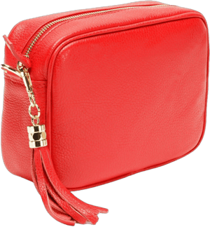 Elie Beaumont Crossbody Bag