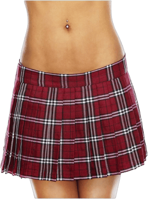 Spirit Halloween School Girl Skirt