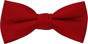 Born to Love Boys Kids Adjustable Bowtie