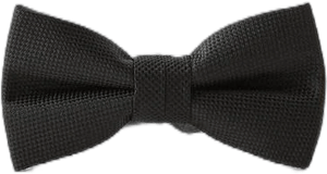 Kids Zara Structured Satin Effect Bow Tie