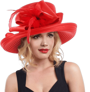 ChicHeadwear Women's Braid with Bow and Feather Hat