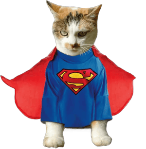 Superman Cat Costume - S