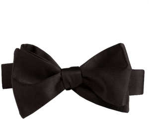 David Donahue Silk Satin Bow Tie