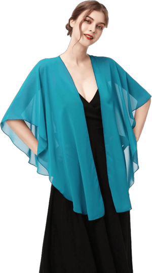 Women's Chiffon Sheer Shawl